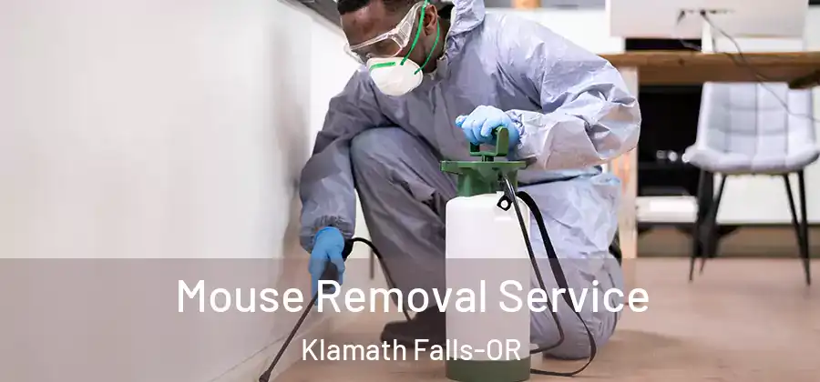  Mouse Removal Service Klamath Falls-OR