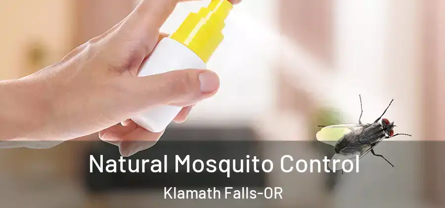  Natural Mosquito Control Klamath Falls-OR