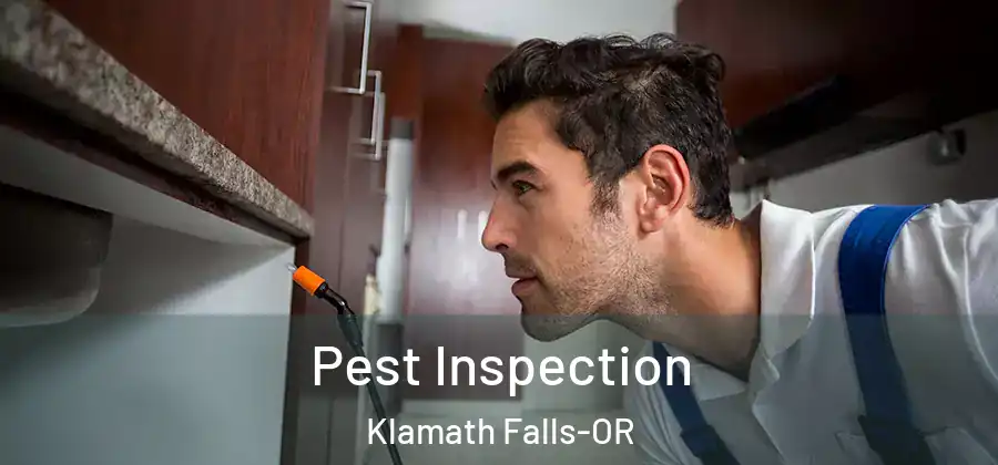  Pest Inspection Klamath Falls-OR