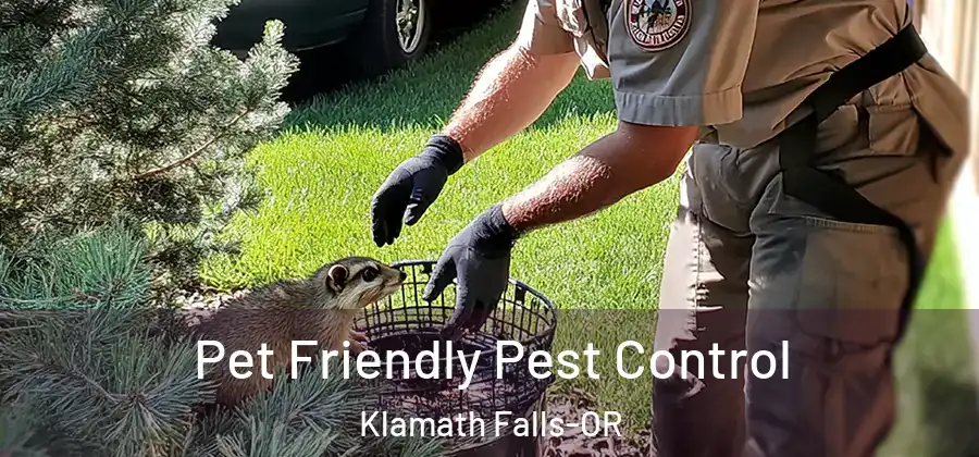 Pet Friendly Pest Control Klamath Falls-OR