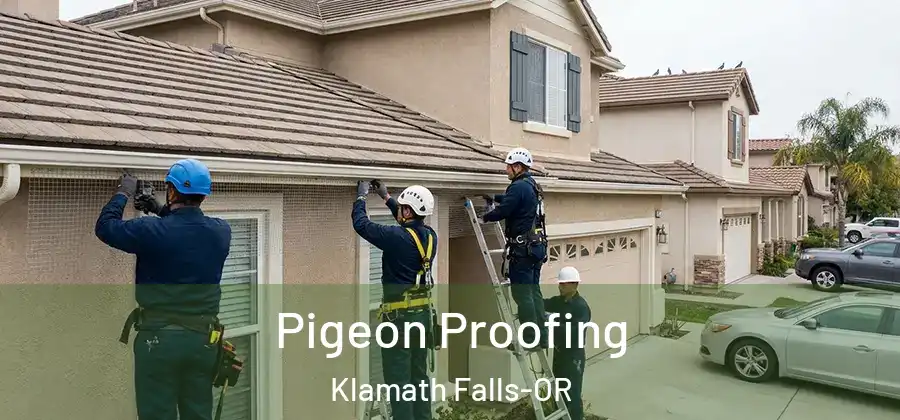 Pigeon Proofing Klamath Falls-OR