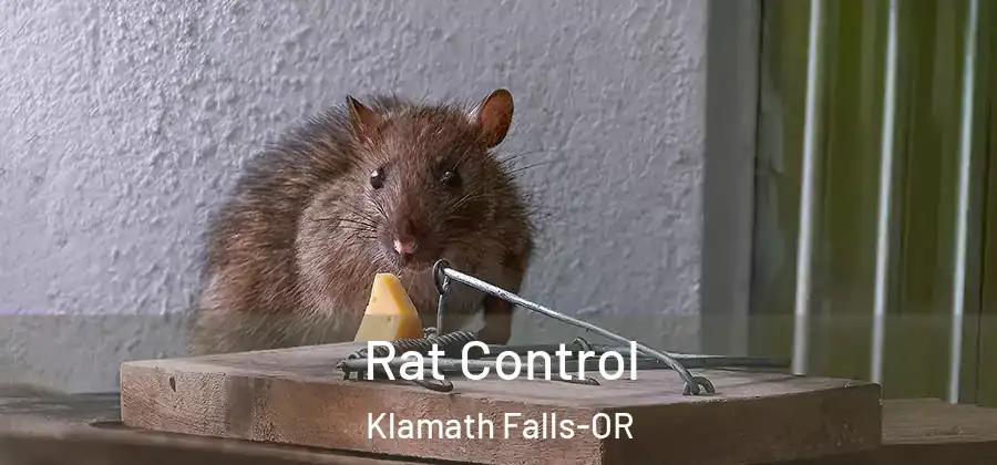  Rat Control Klamath Falls-OR
