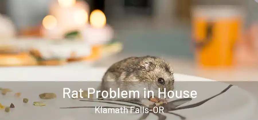 Rat Problem in House Klamath Falls-OR