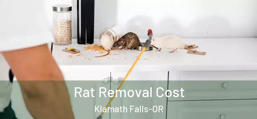  Rat Removal Cost Klamath Falls-OR