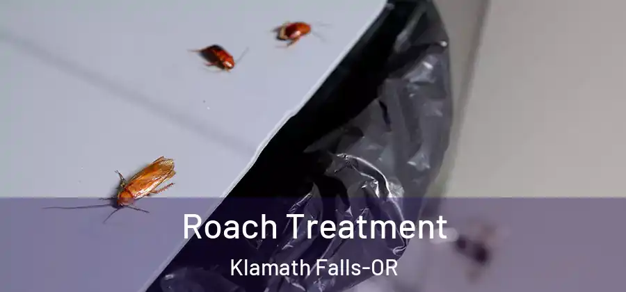 Roach Treatment Klamath Falls-OR