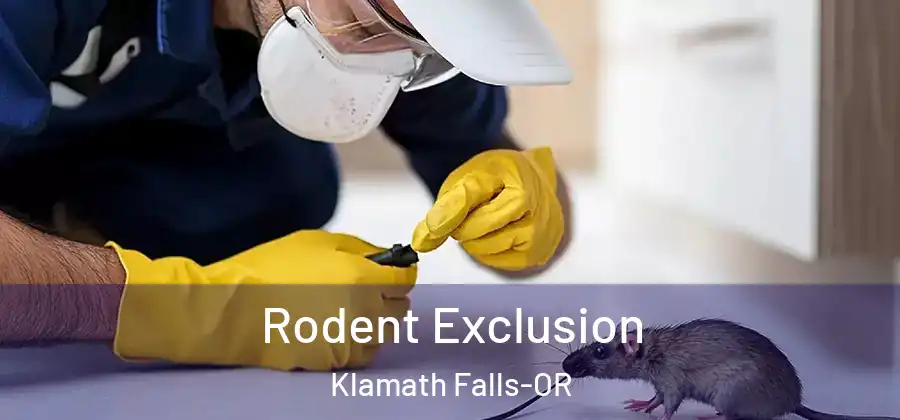  Rodent Exclusion Klamath Falls-OR