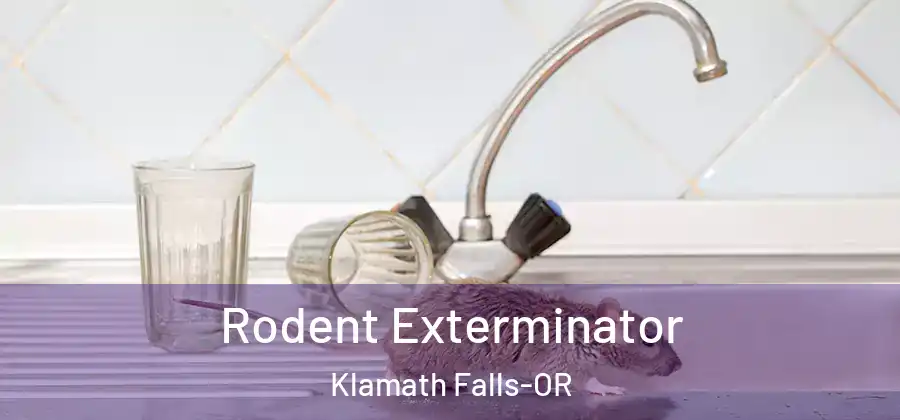 Rodent Exterminator Klamath Falls-OR