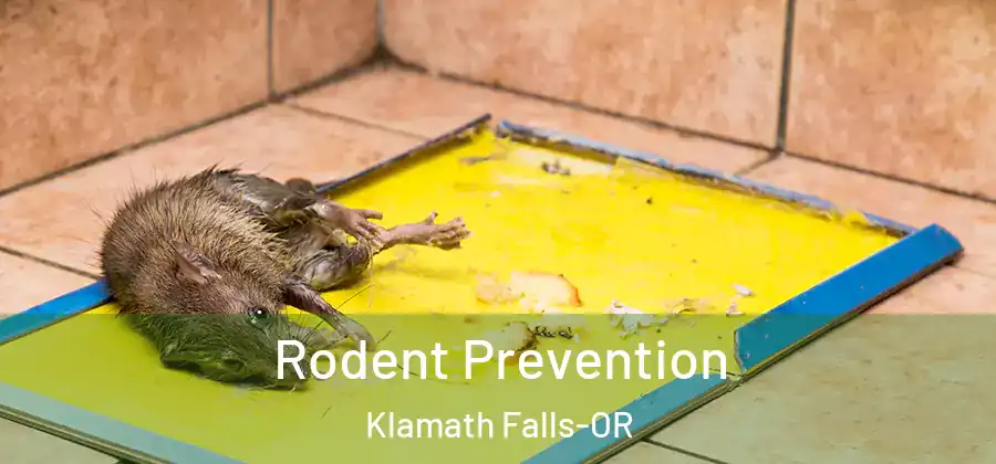  Rodent Prevention Klamath Falls-OR