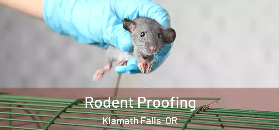 Rodent Proofing Klamath Falls-OR