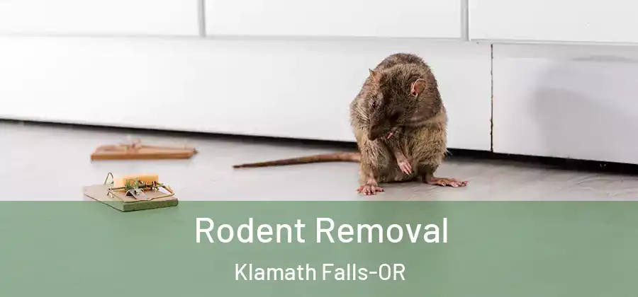  Rodent Removal Klamath Falls-OR