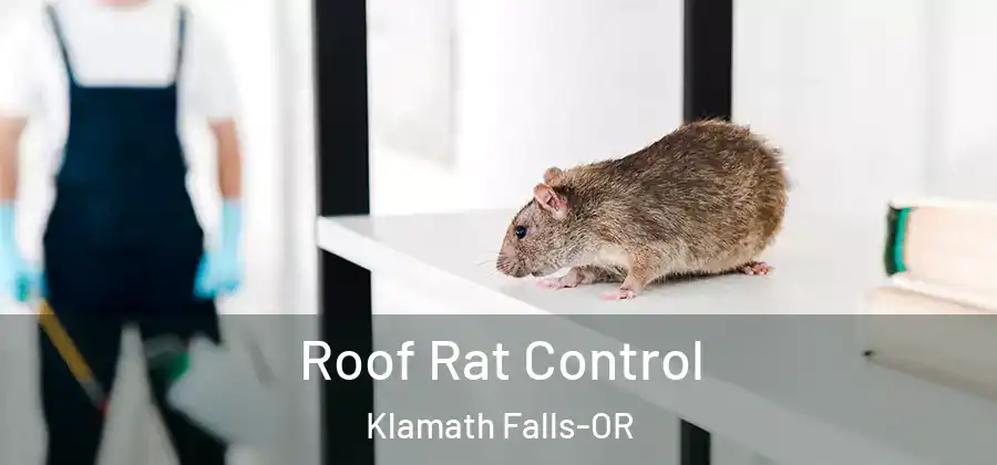 Roof Rat Control Klamath Falls-OR