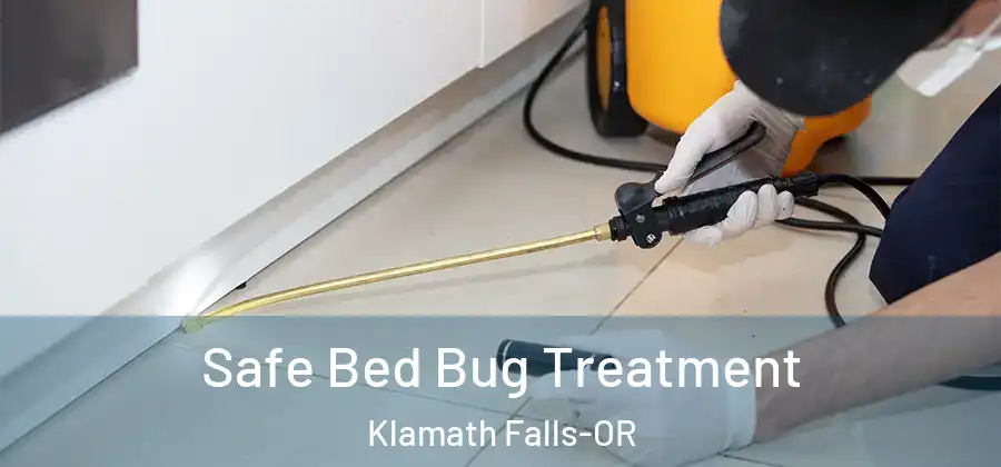 Safe Bed Bug Treatment Klamath Falls-OR