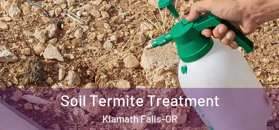 Soil Termite Treatment Klamath Falls-OR