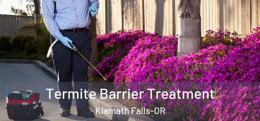 Termite Barrier Treatment Klamath Falls-OR