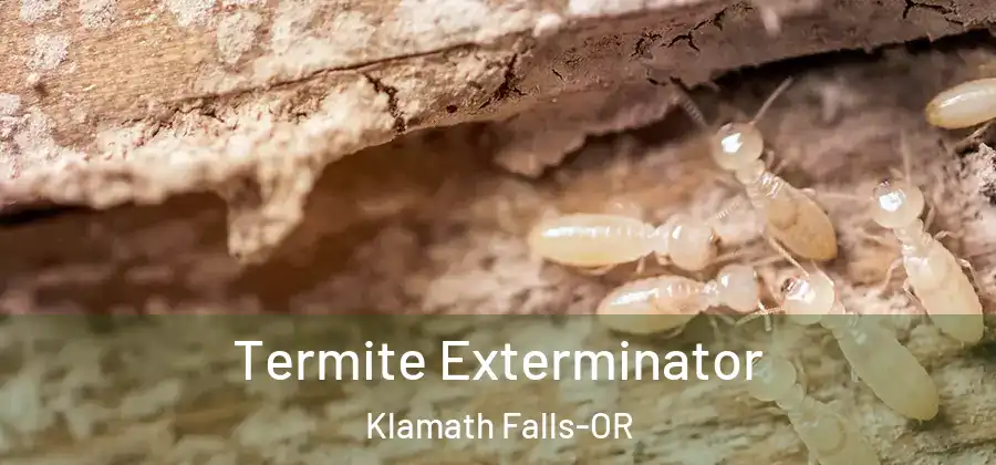 Termite Exterminator Klamath Falls-OR