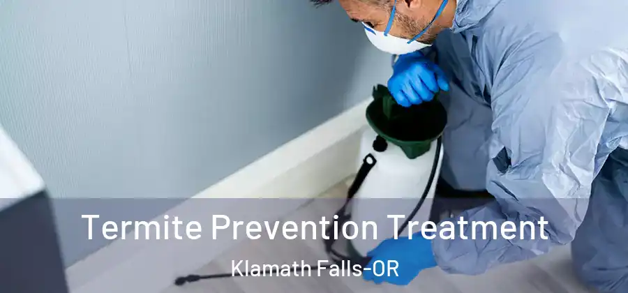 Termite Prevention Treatment Klamath Falls-OR