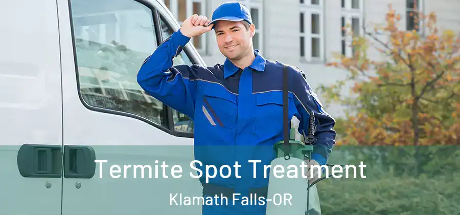 Termite Spot Treatment Klamath Falls-OR