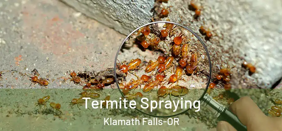 Termite Spraying Klamath Falls-OR