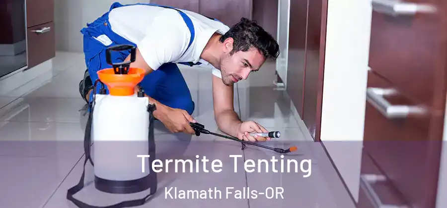 Termite Tenting Klamath Falls-OR