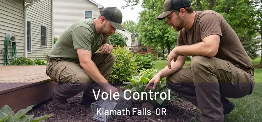Vole Control Klamath Falls-OR