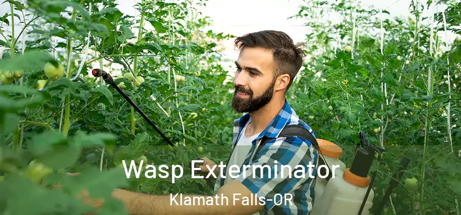  Wasp Exterminator Klamath Falls-OR