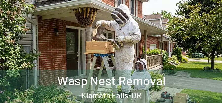 Wasp Nest Removal Klamath Falls-OR