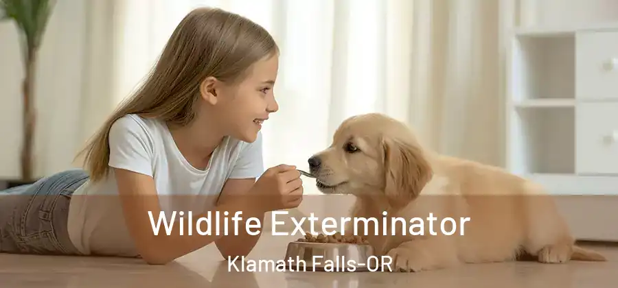 Wildlife Exterminator Klamath Falls-OR