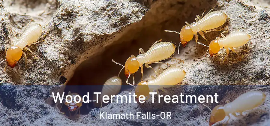 Wood Termite Treatment Klamath Falls-OR