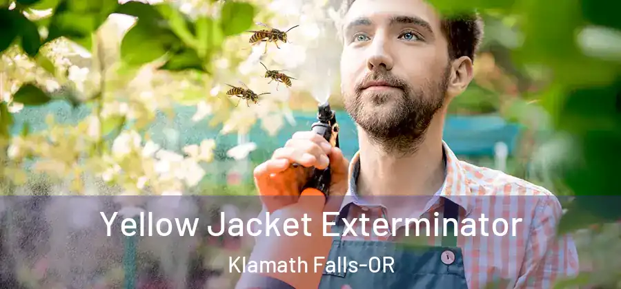  Yellow Jacket Exterminator Klamath Falls-OR